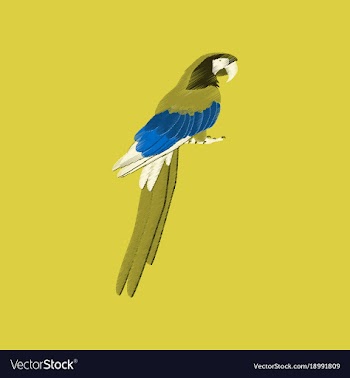 Flat shading style icon parrot vector image