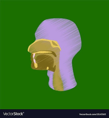Flat shading style icon pharynx vector image