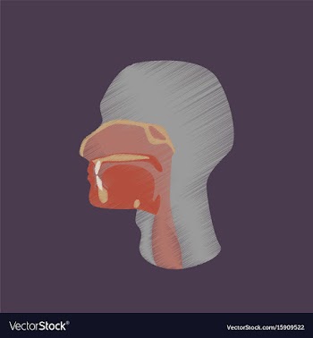 Flat shading style icon pharynx vector image