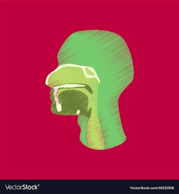 Flat shading style icon pharynx vector image