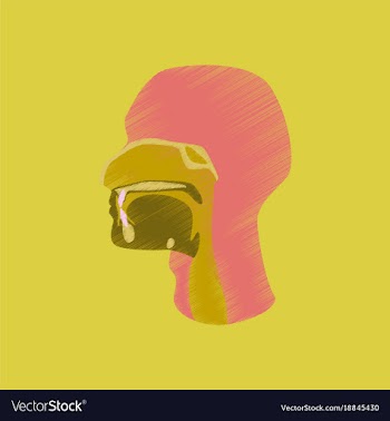Flat shading style icon pharynx vector image