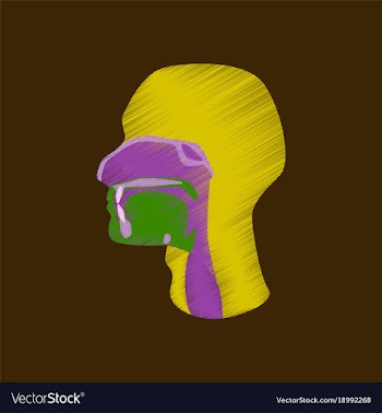 Flat shading style icon pharynx vector image
