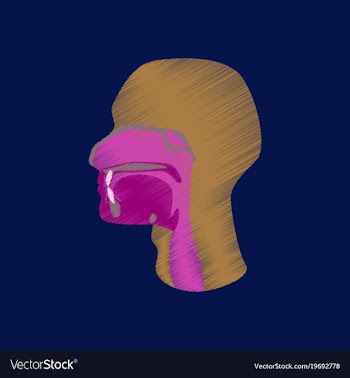 Flat shading style icon pharynx vector image