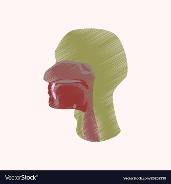 Flat shading style icon pharynx vector image