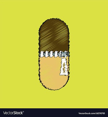 Flat shading style icon pill vector image