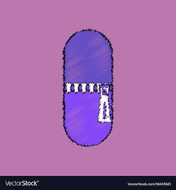Flat shading style icon pill vector image