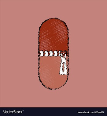 Flat shading style icon pill vector image