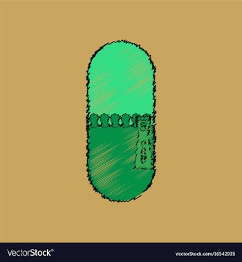 Flat shading style icon pill vector image