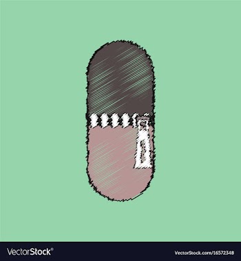 Flat shading style icon pill vector image