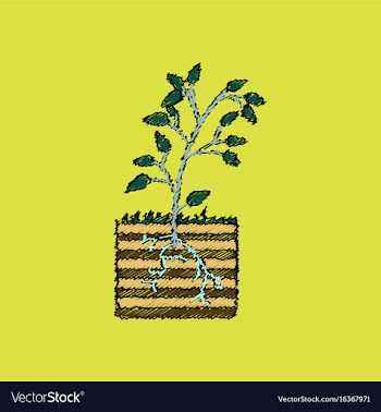Flat shading style icon plant and root vector image