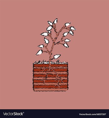Flat shading style icon plant and root vector image