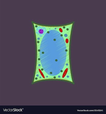Flat shading style icon plant cell vector image