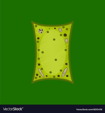 Flat shading style icon plant cell vector image