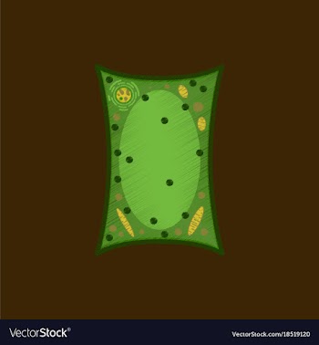 Flat shading style icon plant cell vector image