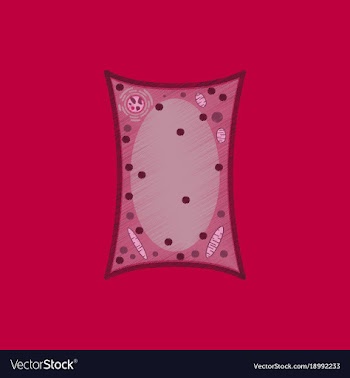 Flat shading style icon plant cell vector image