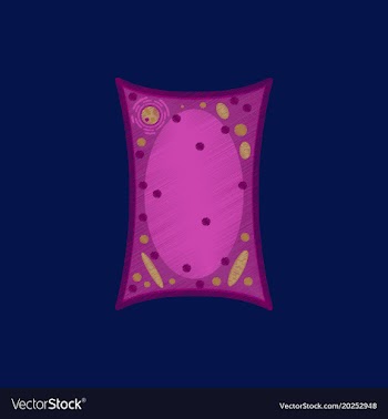 Flat shading style icon plant cell vector image
