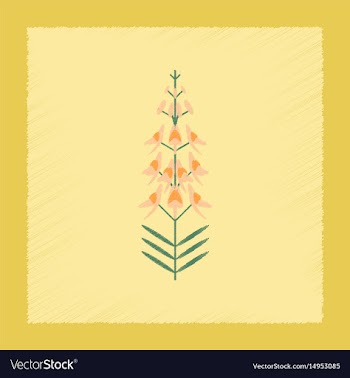 Flat shading style icon plant euphorbia vector image