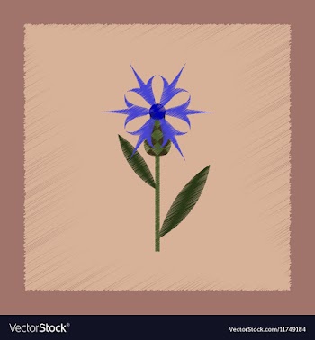 Flat shading style icon plant flower Centaurea vector image