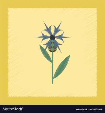 Flat shading style icon plant flower centaurea vector image