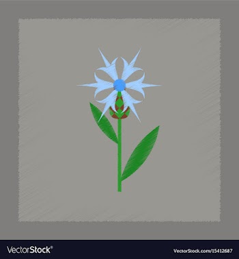 Flat shading style icon plant flower centaurea vector image