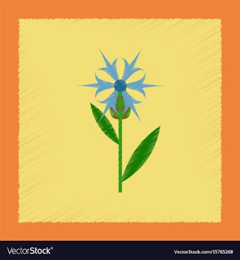 Flat shading style icon plant flower centaurea vector image