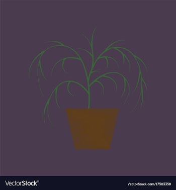 Flat shading style icon plant in a pot vector image
