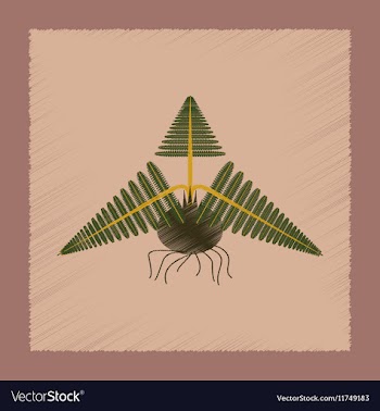 Flat shading style icon plant Pteridium vector image
