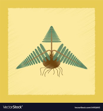 Flat shading style icon plant pteridium vector image