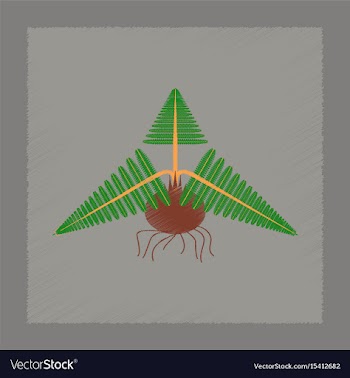 Flat shading style icon plant pteridium vector image