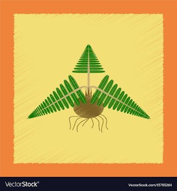 Flat shading style icon plant pteridium vector image