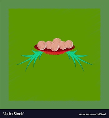 Flat shading style icon plate oranges vector image