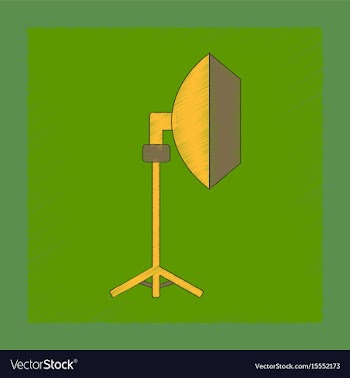 Flat shading style icon professional lighting vector image