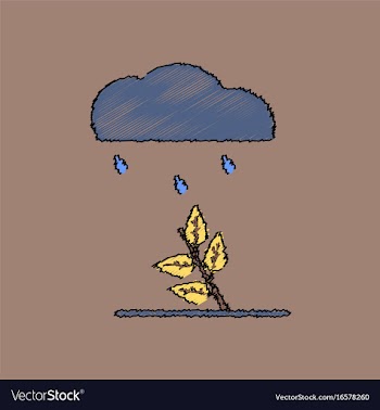 Flat shading style icon rain and bush vector image