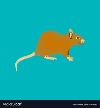 Flat shading style icon rat vector image