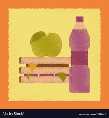Flat shading style icon sandwich apple water vector image