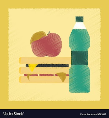 Flat shading style icon sandwich apple water vector image
