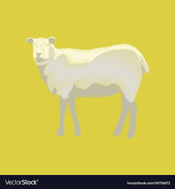 Flat shading style icon sheep vector image