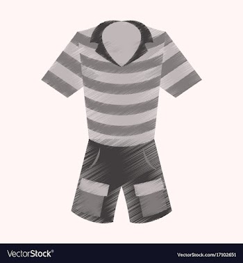Flat shading style icon shorts and polo shirt vector image