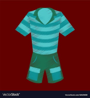 Flat shading style icon shorts and polo shirt vector image