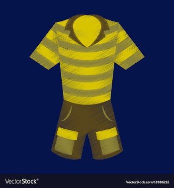 Flat shading style icon shorts and polo shirt vector image