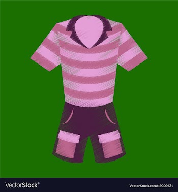Flat shading style icon shorts and polo shirt vector image