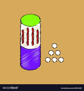 Flat shading style icon shotgun bullet vector image