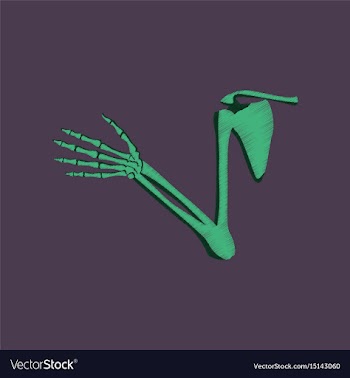 Flat shading style icon shoulder joint vector image