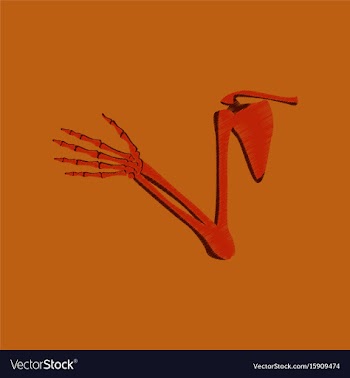 Flat shading style icon shoulder joint vector image