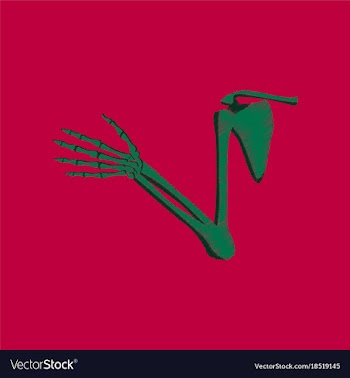 Flat shading style icon shoulder joint vector image
