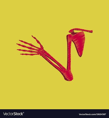 Flat shading style icon shoulder joint vector image