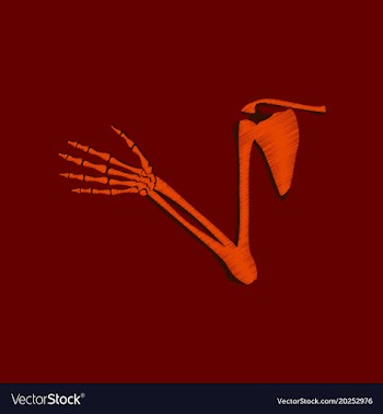 Flat shading style icon shoulder joint vector image