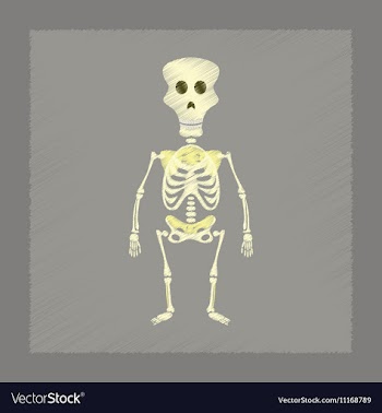 Flat shading style icon skeleton Halloween monster vector image