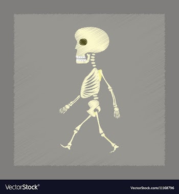 Flat shading style icon skeleton Halloween monster vector image