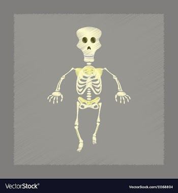 Flat shading style icon skeleton Halloween monster vector image